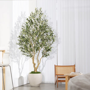 Weekends Are for Resting, Not Reviving Dying Leaves: The Story Behind FEELEAD