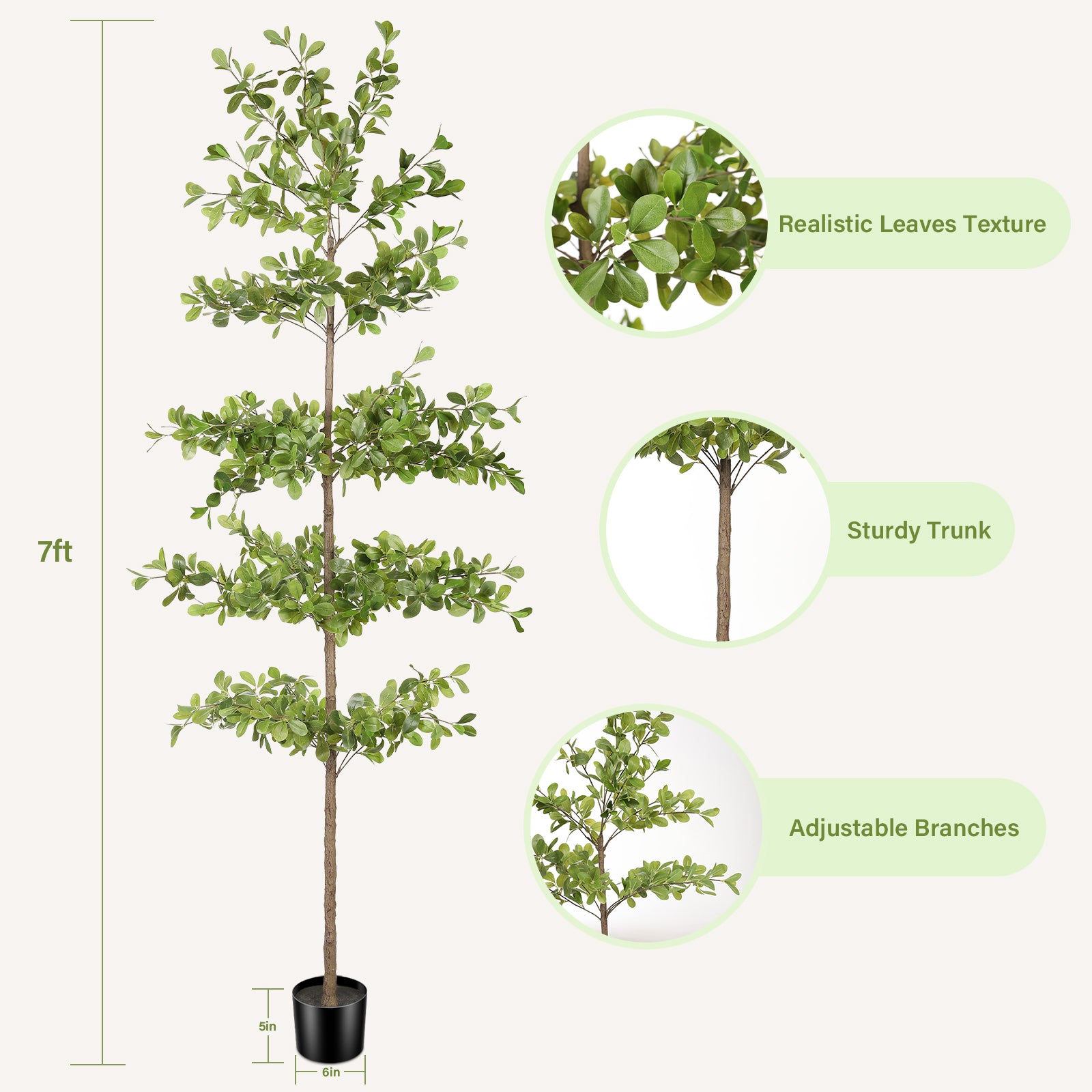 7' Black Olive Silk Tree