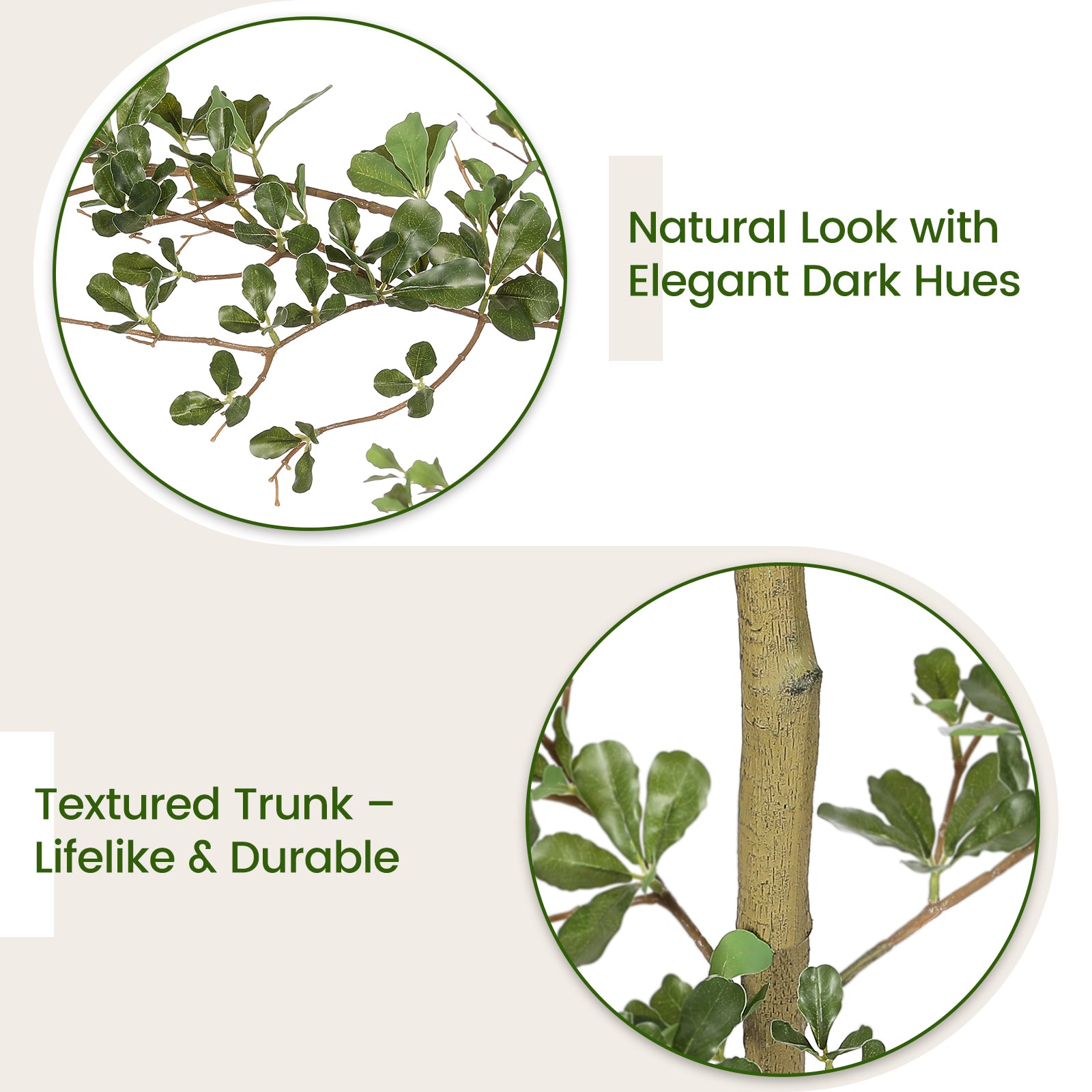 7' Shady Lady Tree with Pot