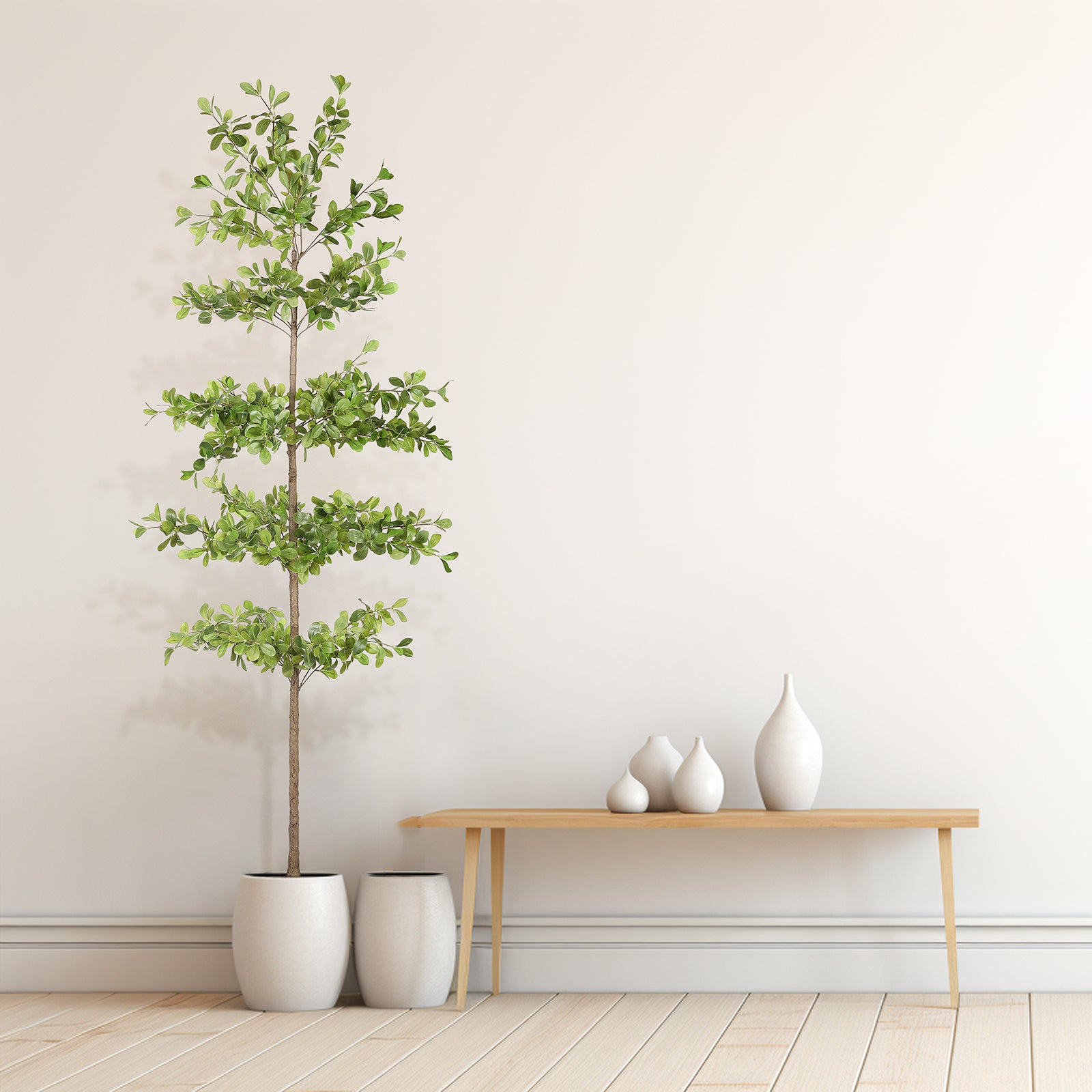 7' Black Olive Silk Tree