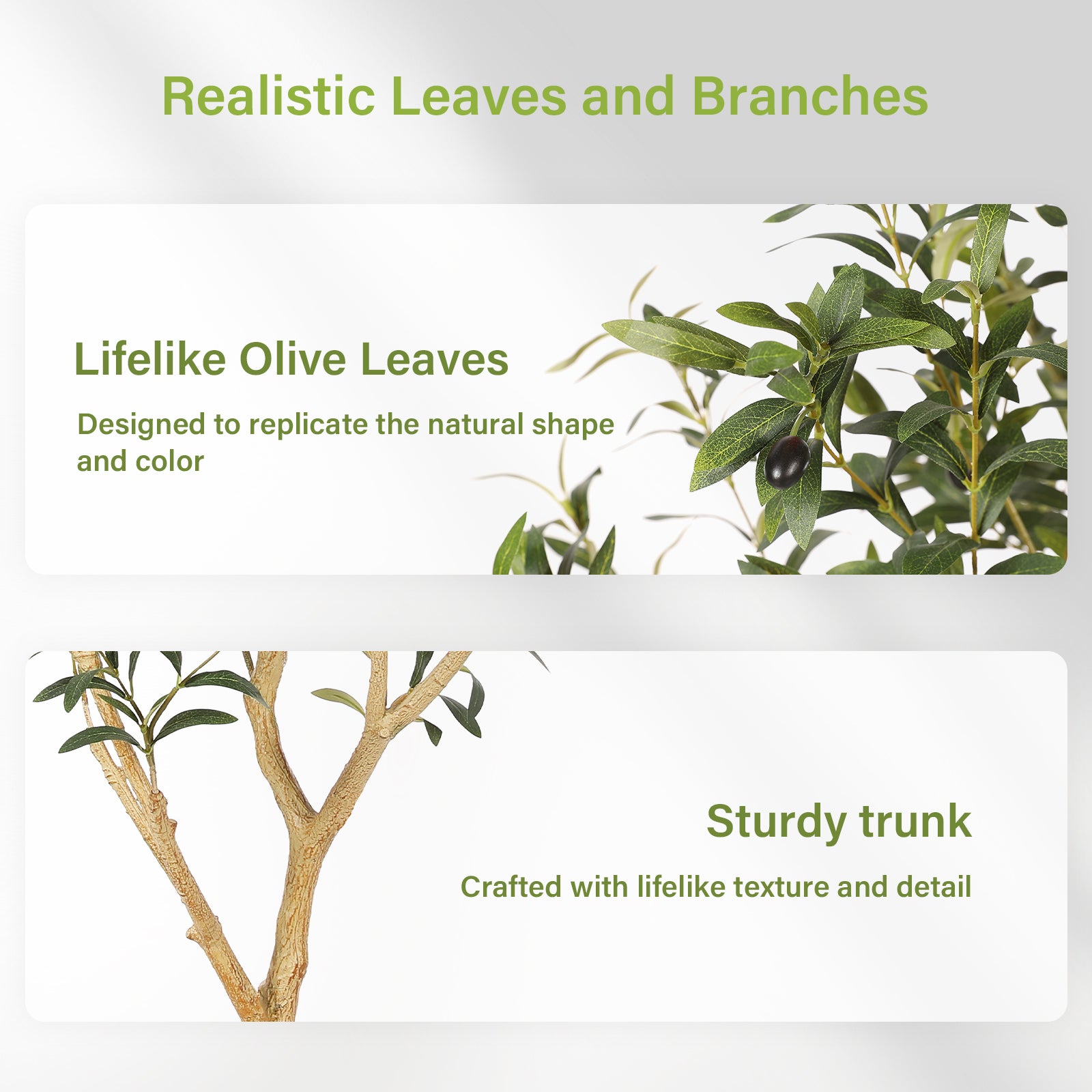 5' Realistic Olive Trees with Pots