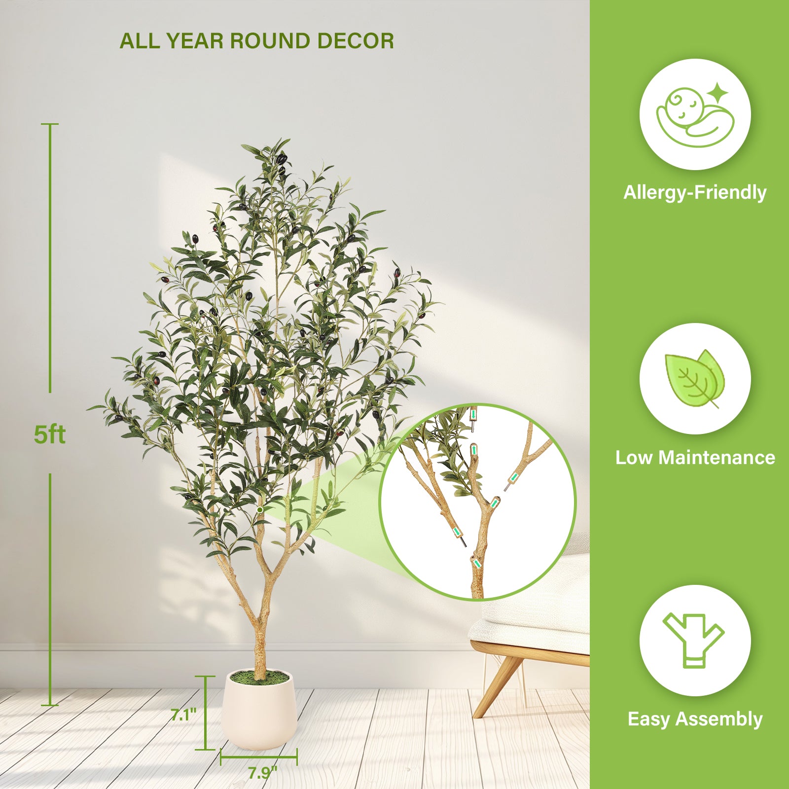 5' Realistic Olive Trees with Pots