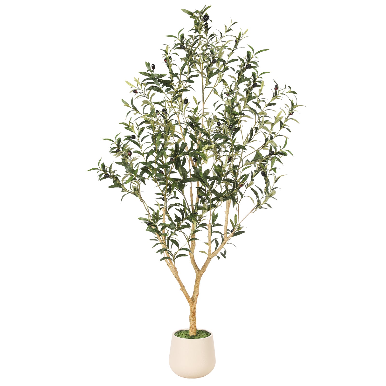 5' Realistic Olive Trees with Pots