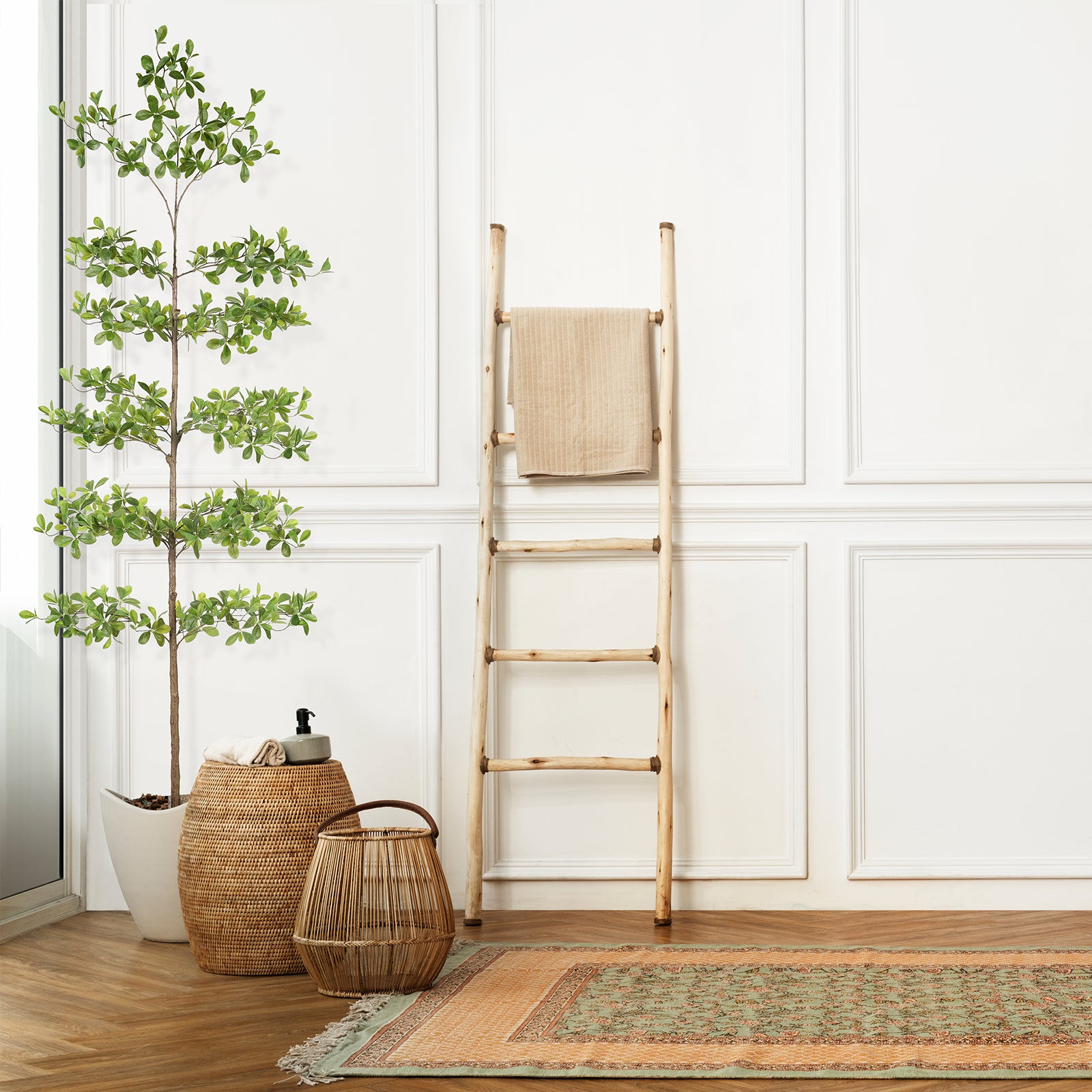 8' Black Olive Silk Tree