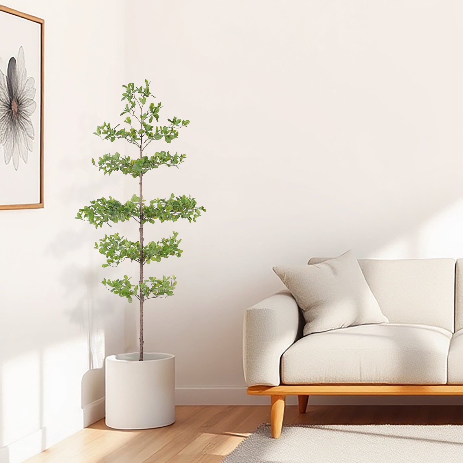 6' Black Olive Silk Tree