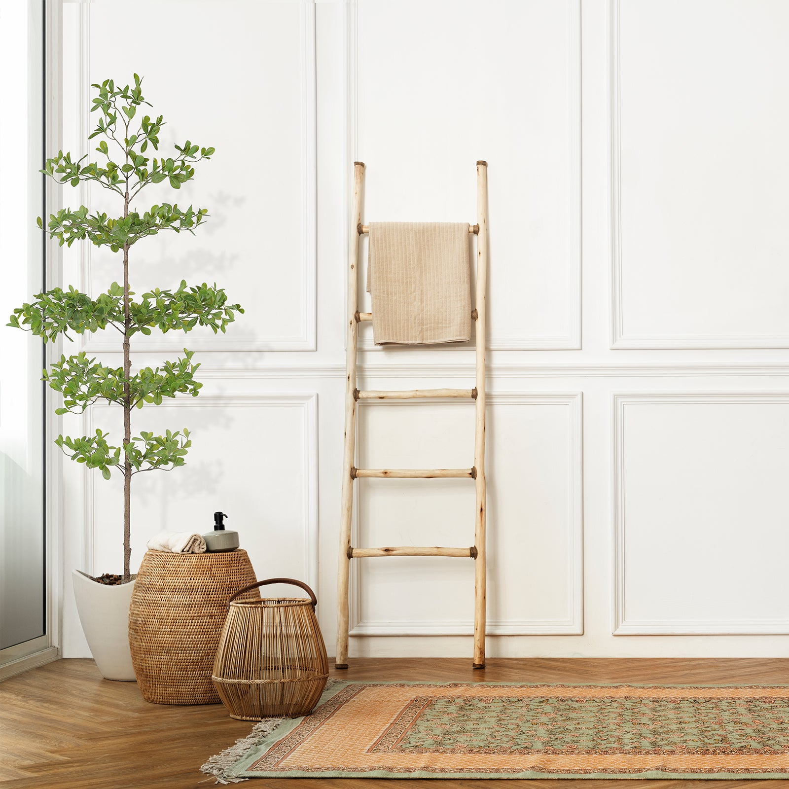 6' Black Olive Silk Tree