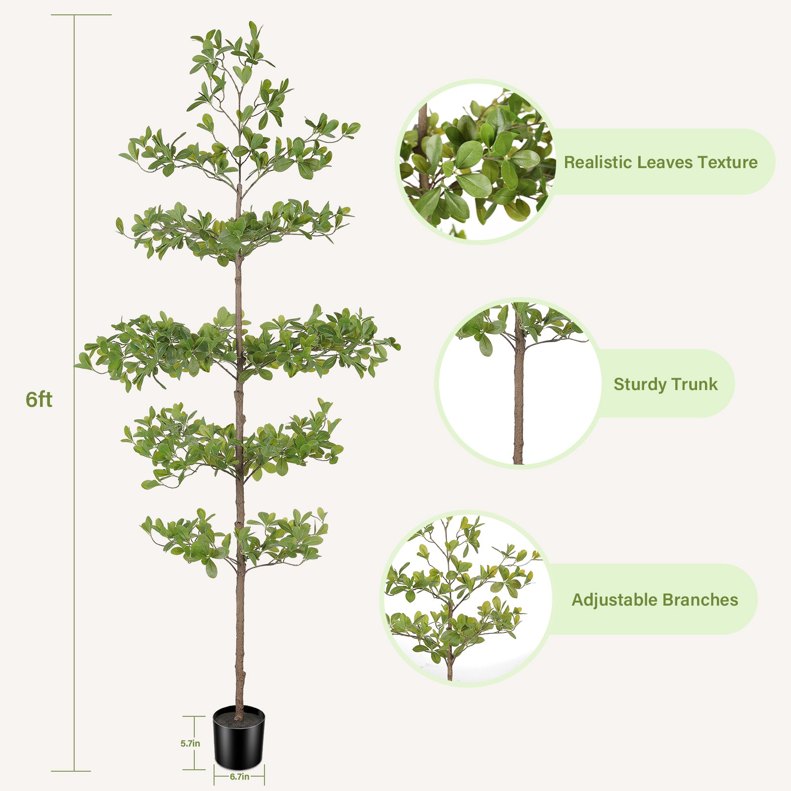 6' Black Olive Silk Tree