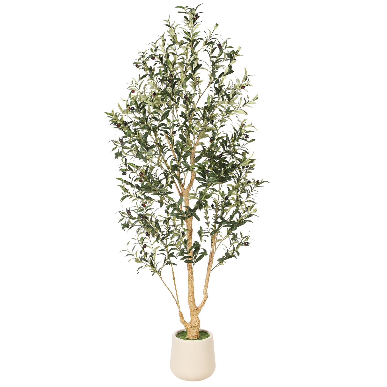 6' Realistic Olive Trees with Pots
