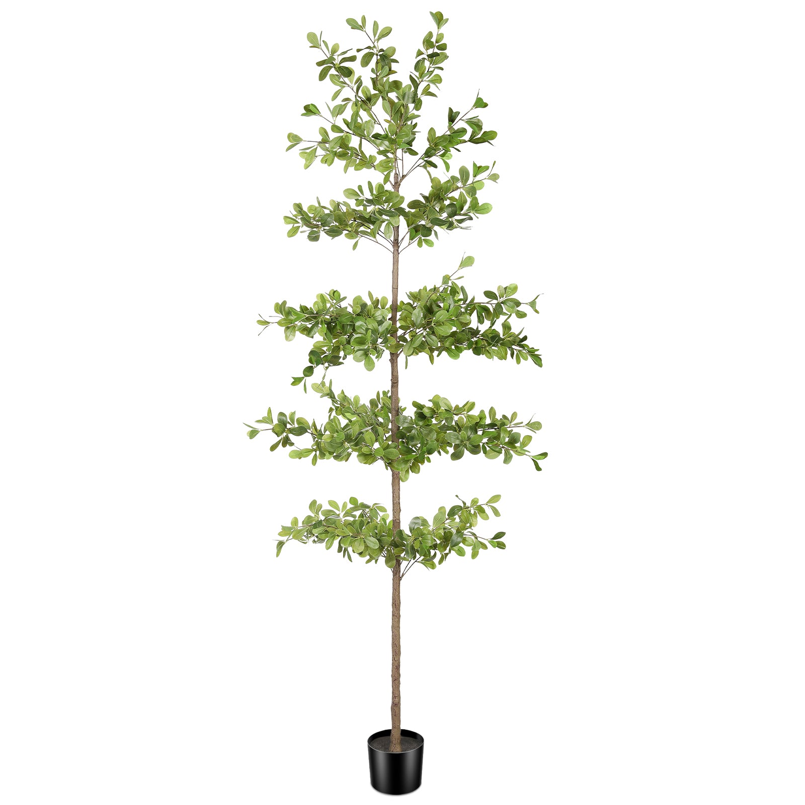7' Black Olive Silk Tree