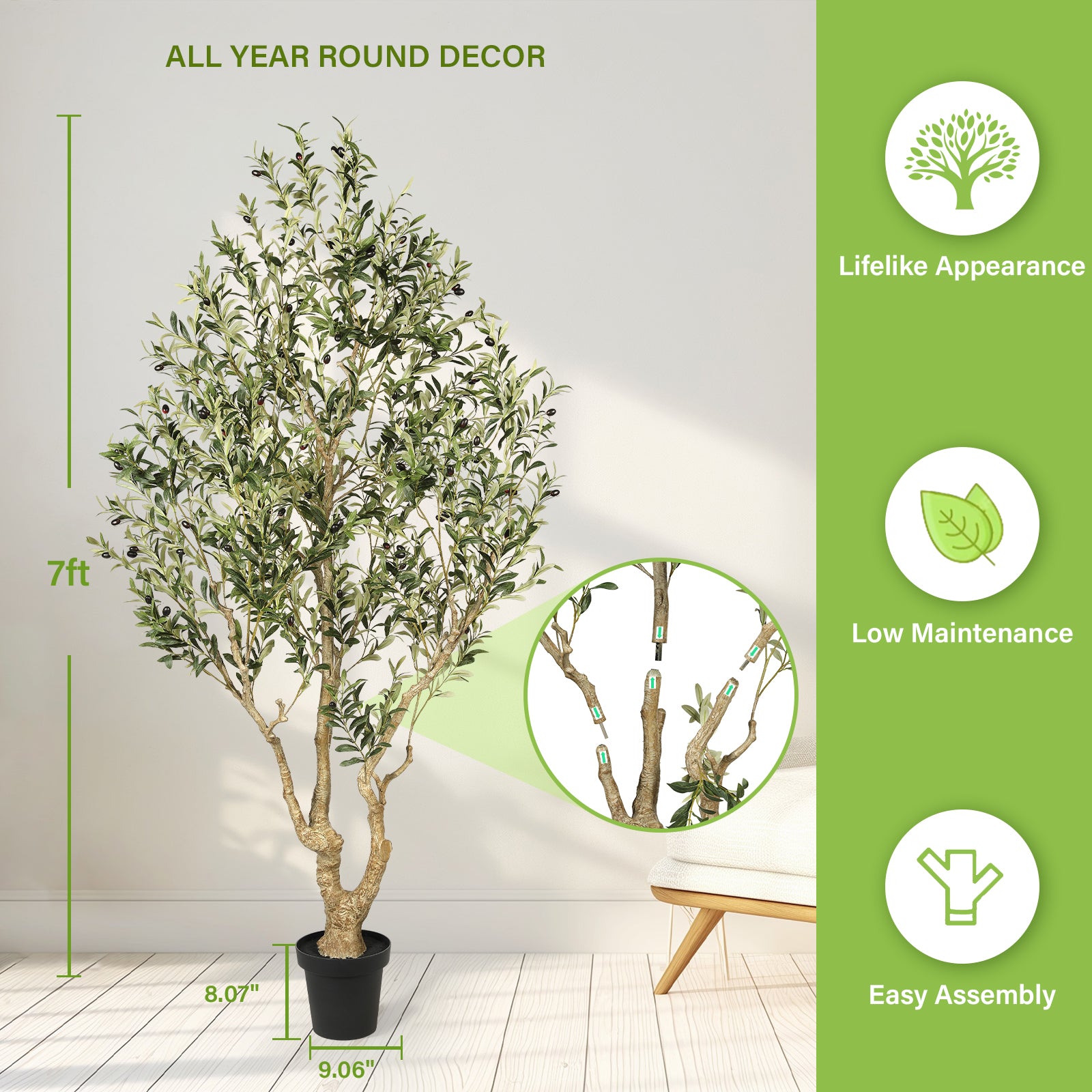 7’ Large Olive Tree with Trunk