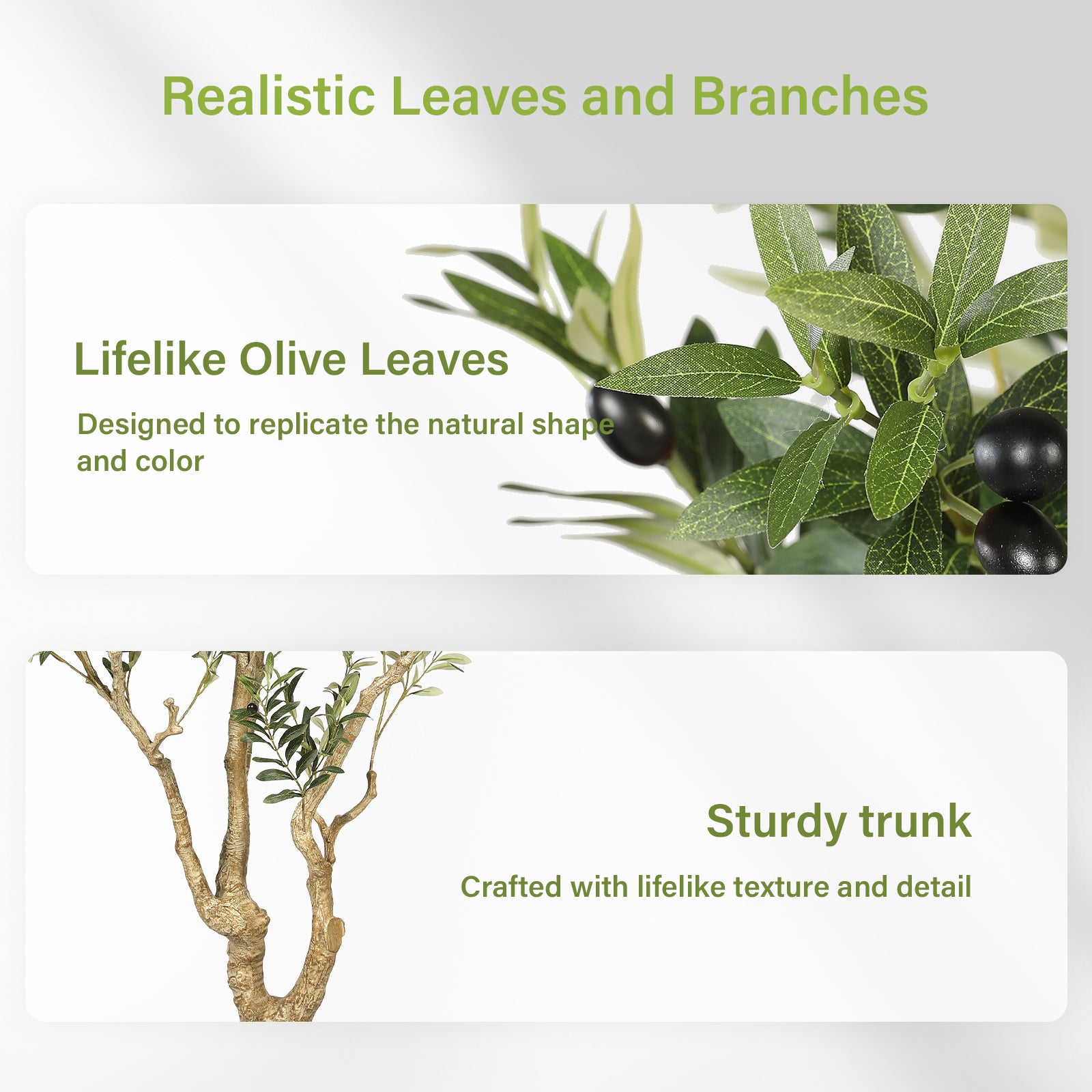 7’ Large Olive Tree with Trunk