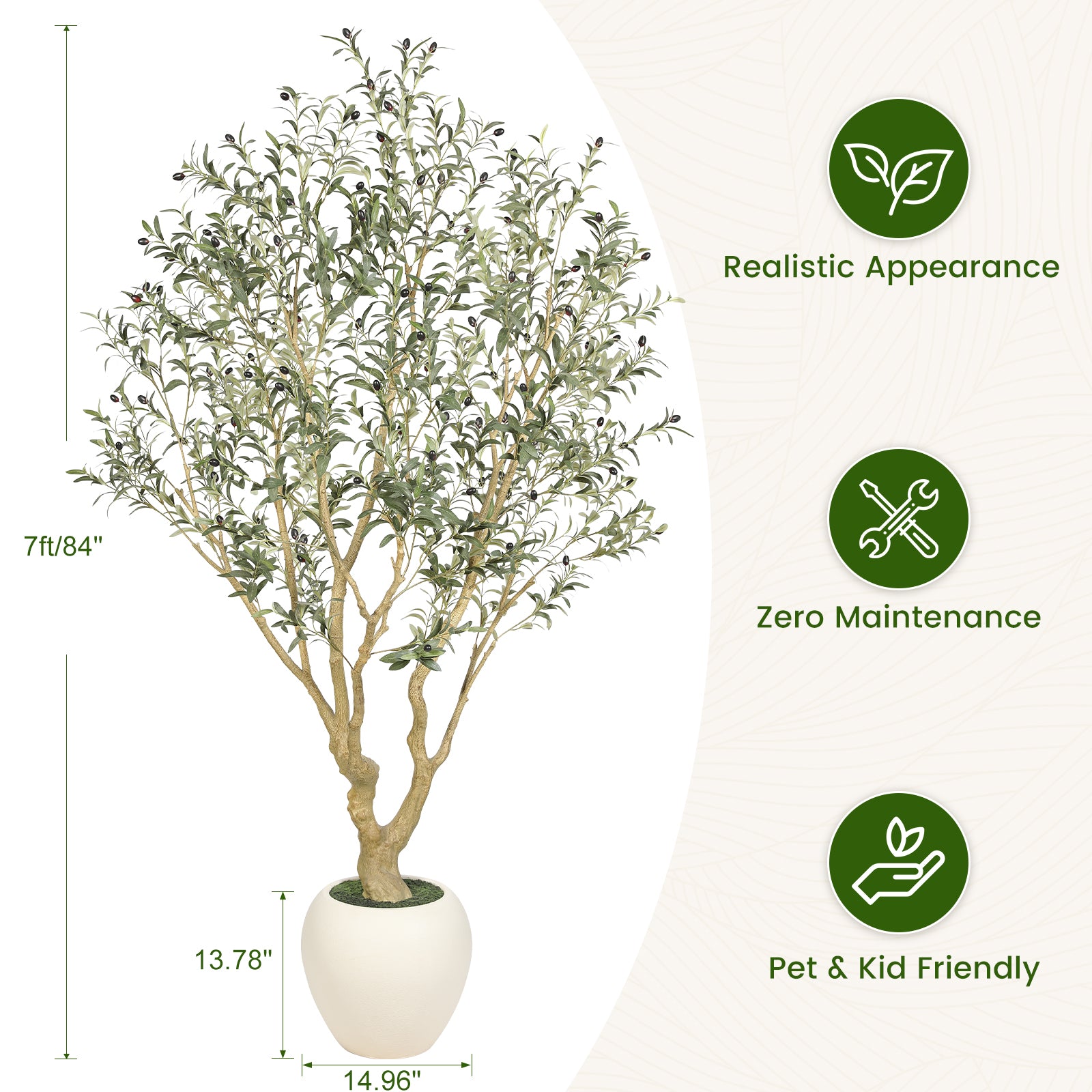 7' Large Olive Trees with Exquisite Pots