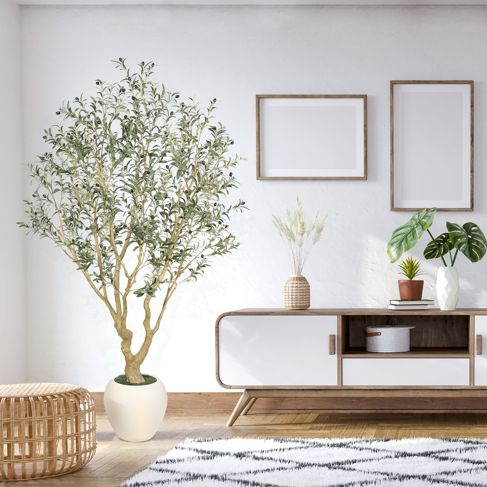 7' Large Olive Trees with Exquisite Pots