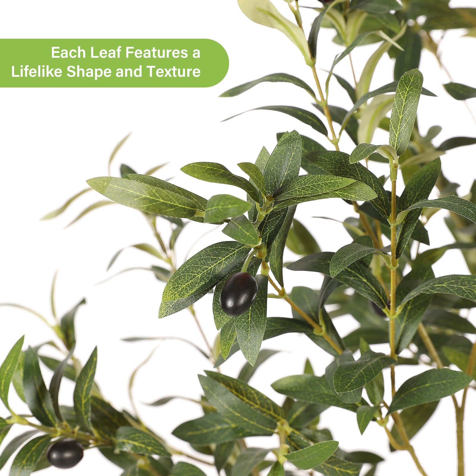 7' Realistic Olive Trees with Pots