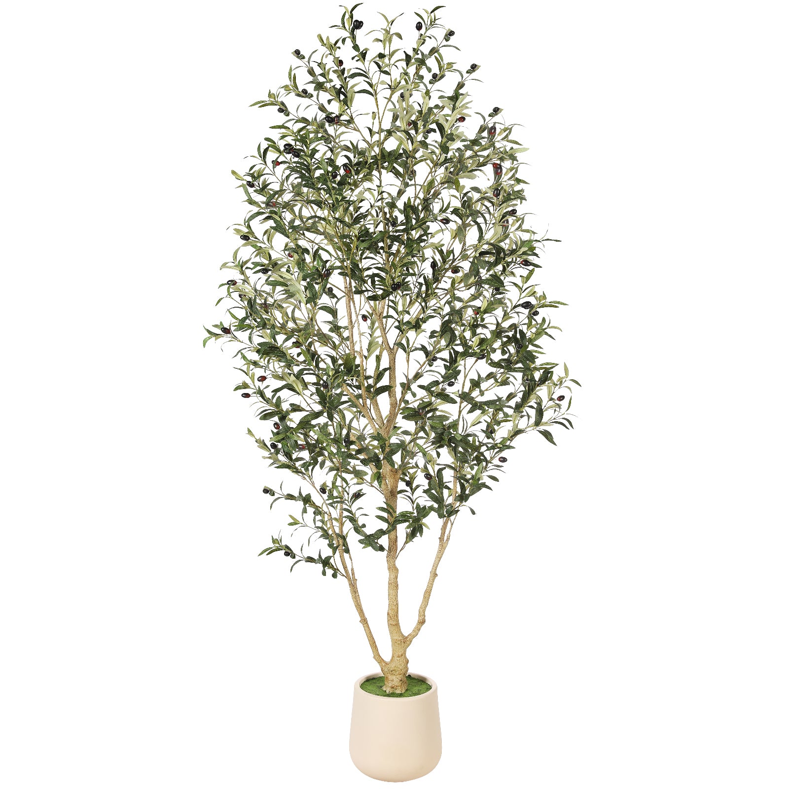 7' Realistic Olive Trees with Pots