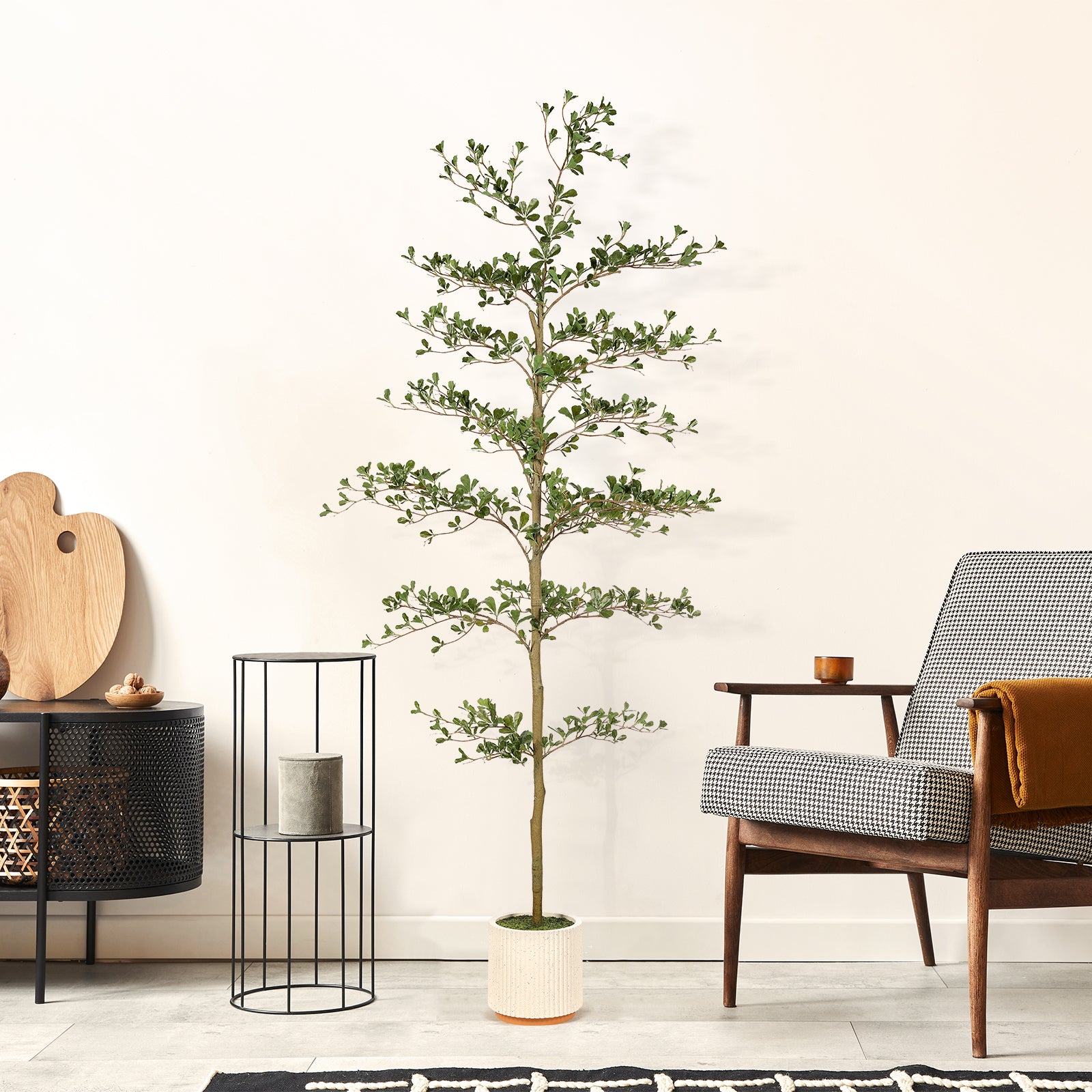 7' Shady Lady Tree with Pot