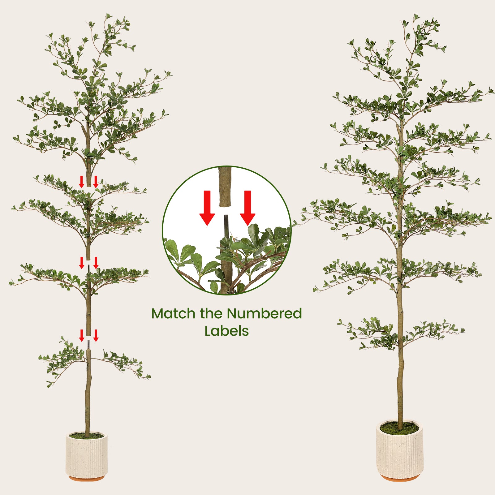 7' Shady Lady Tree with Pot – FEELEAD