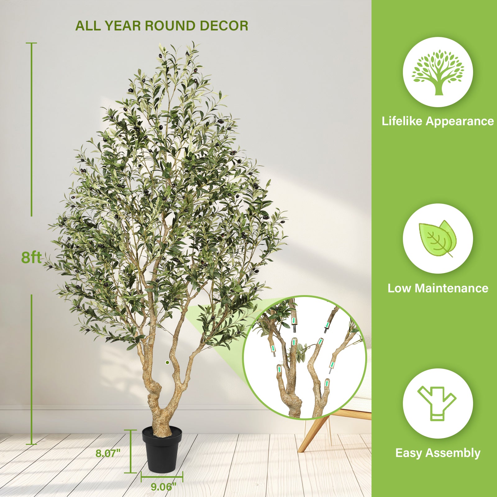 8’ Large Olive Tree with Trunk